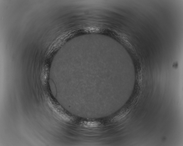 X0000116120645200912071347