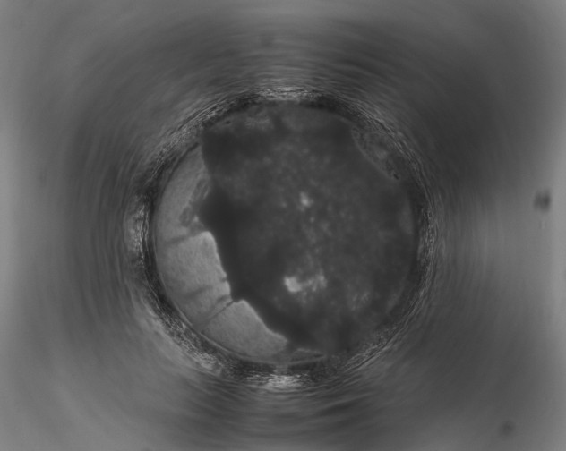 X0000116120647200912071347