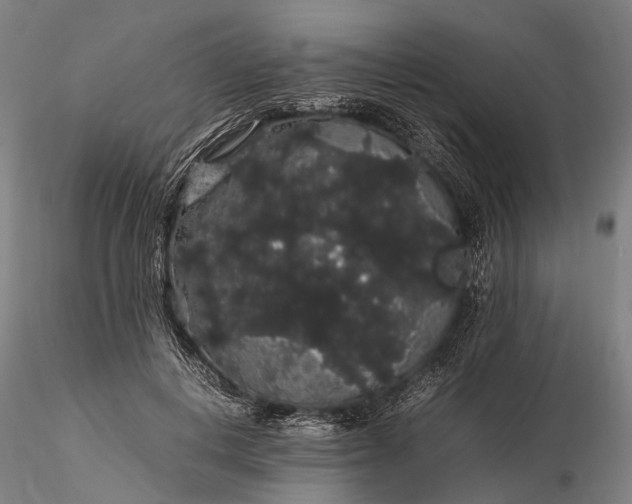 X0000116120648200912071347