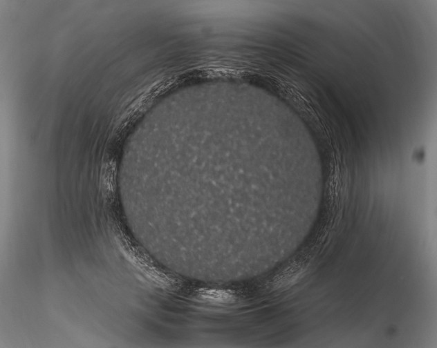 X0000116120649200912071347