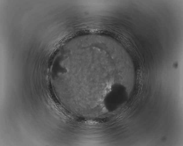 X0000116120650200912071347