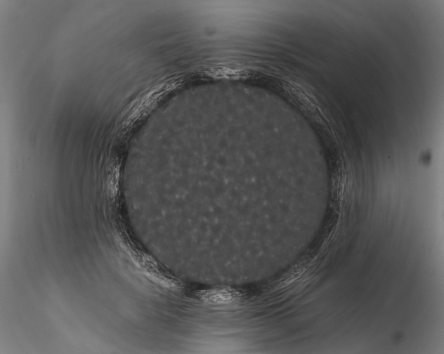 X0000116120652200912071347