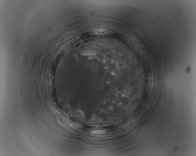 X0000116120653200912071347