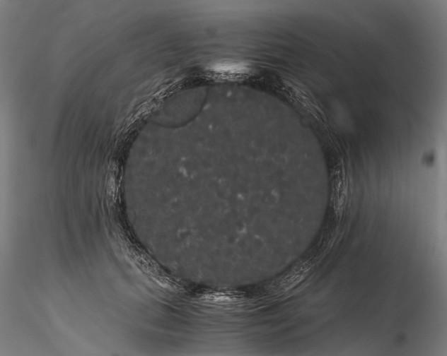 X0000116120655200912071347