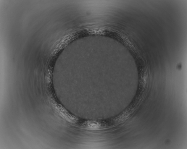 X0000116120658200912071347