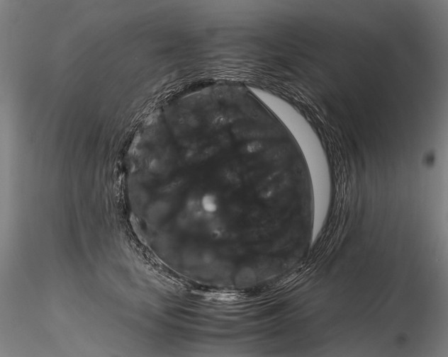 X0000116120659200912071347