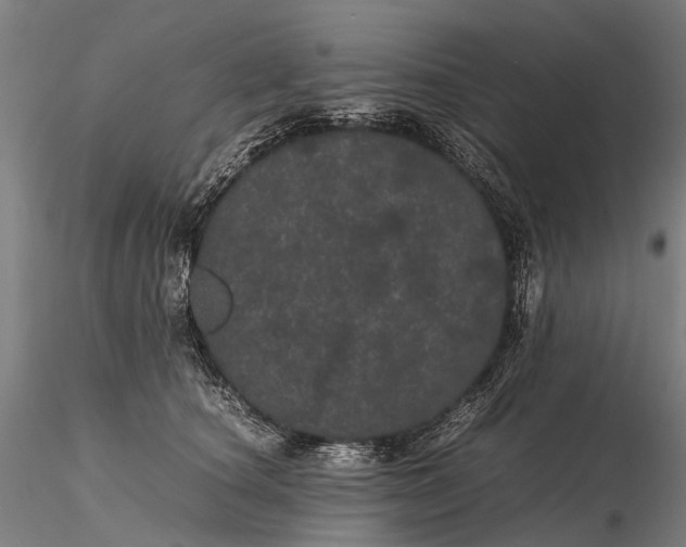 X0000116120660200912071347