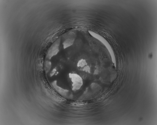 X0000116120661200912071347