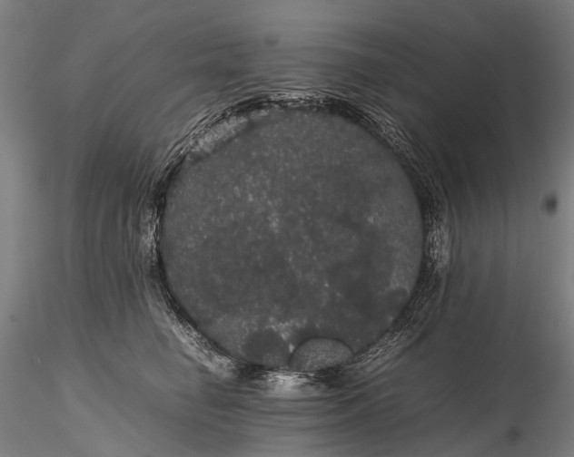 X0000116120662200912071347