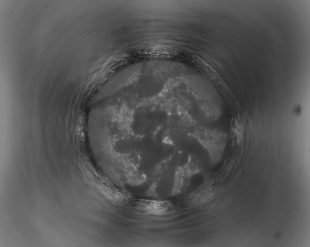 X0000116120663200912071347