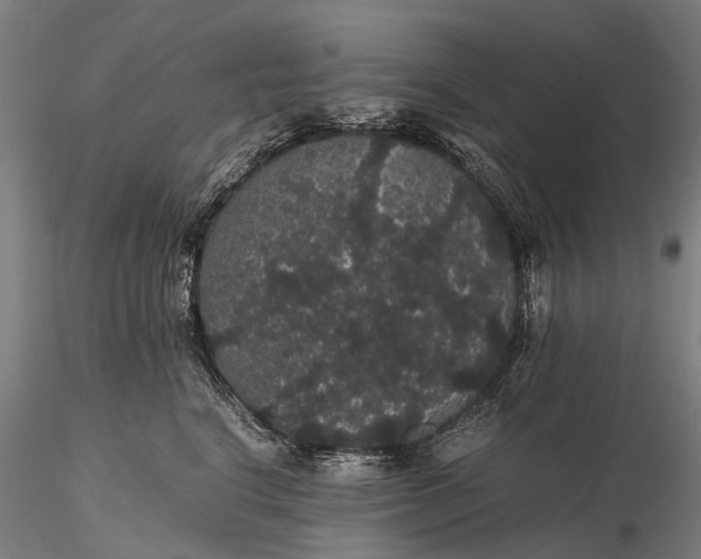 X0000116120664200912071347