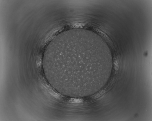 X0000116120665200912071347