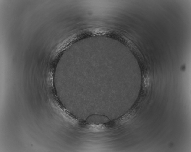 X0000116120666200912071347