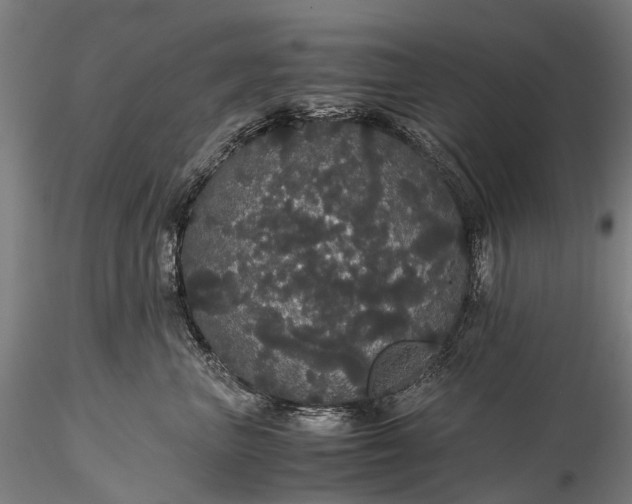 X0000116120667200912071347