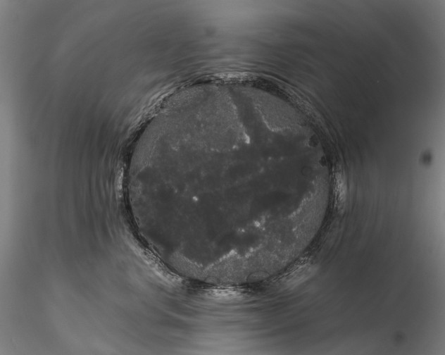 X0000116120668200912071347