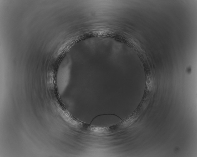 X0000116120670200912071347