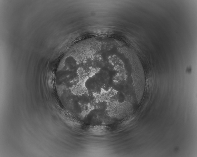 X0000116120671200912071347