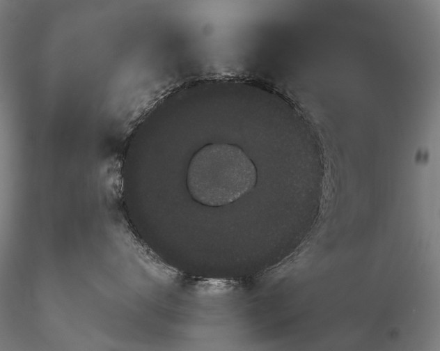 X0000116120672200912071347