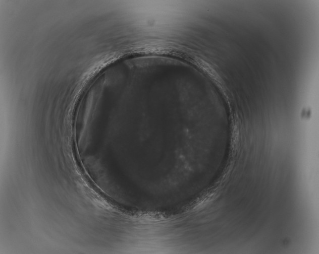 X0000116120673200912071346