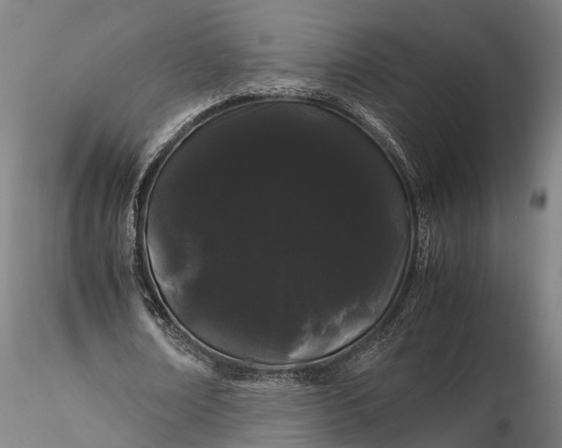 X0000116120674200912071346