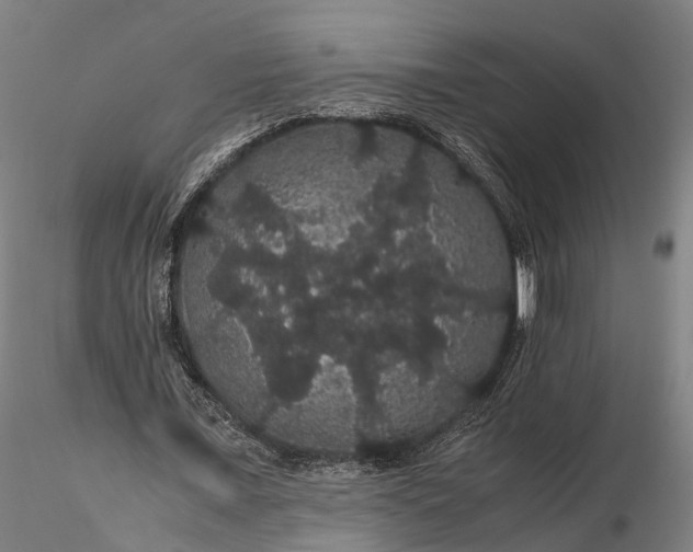 X0000116120675200912071346