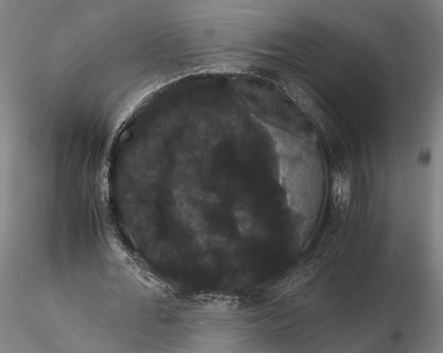 X0000116120676200912071346