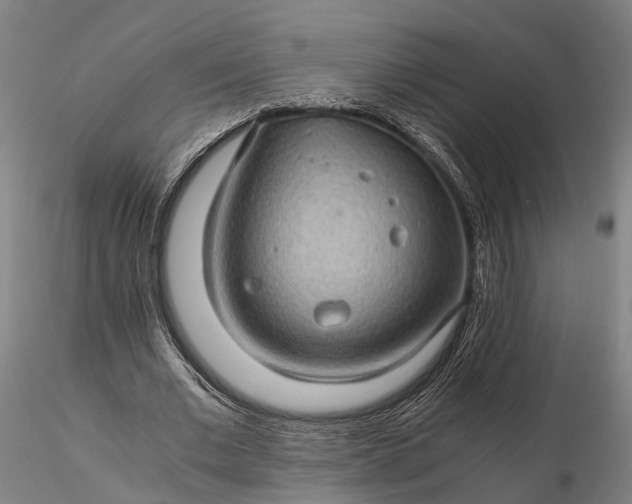 X0000116120677200912071346