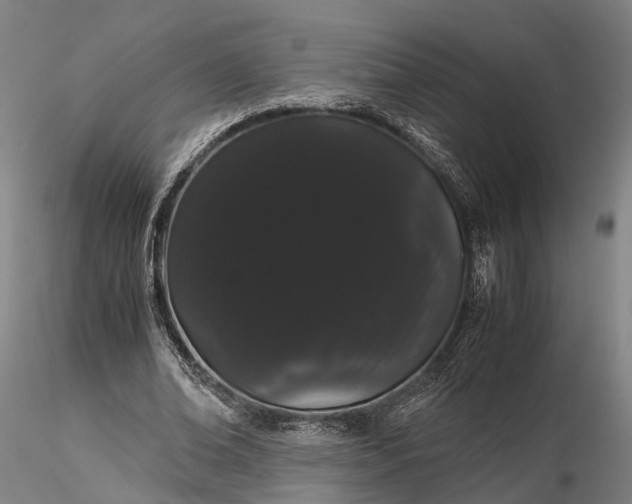 X0000116120678200912071346