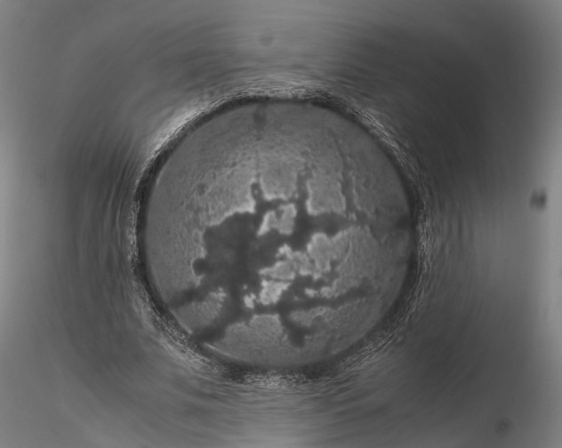 X0000116120679200912071346