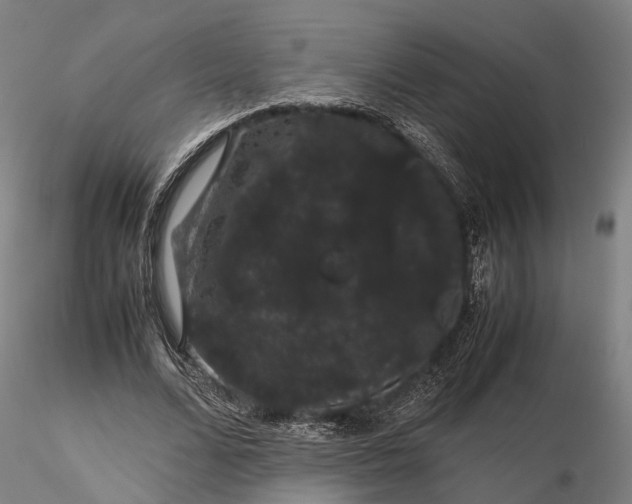 X0000116120680200912071346