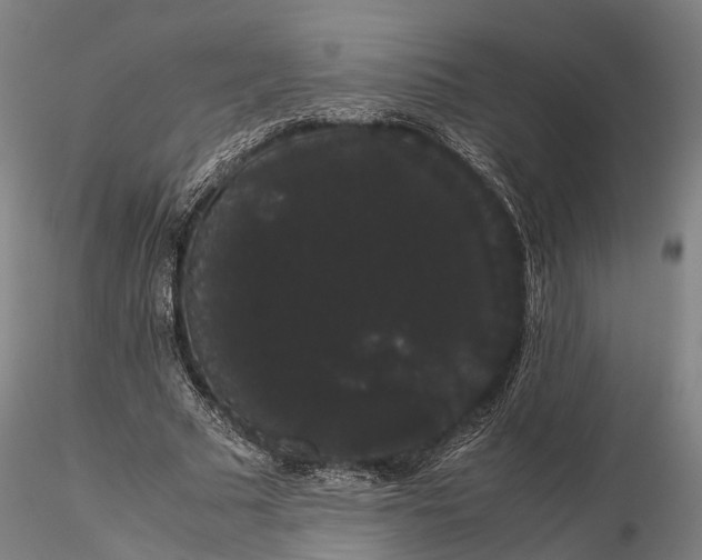 X0000116120681200912071346