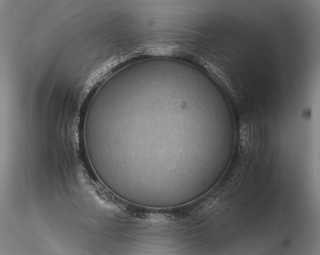 X0000116120682200912071346