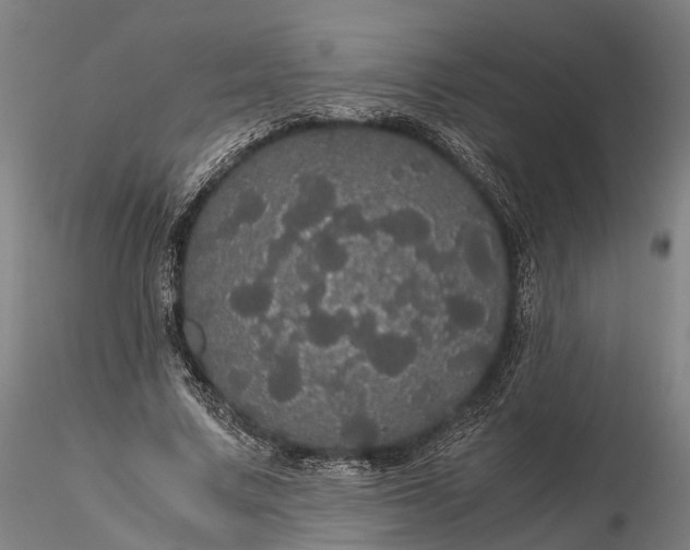 X0000116120683200912071346