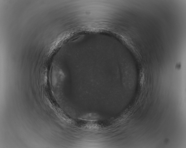 X0000116120685200912071346