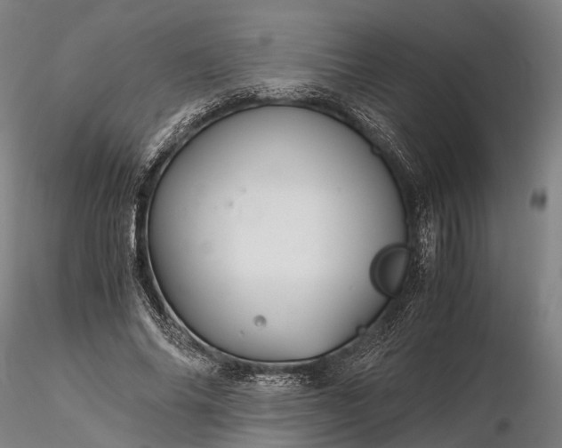 X0000116120686200912071346