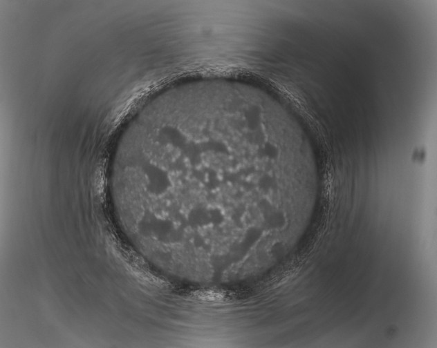 X0000116120687200912071346