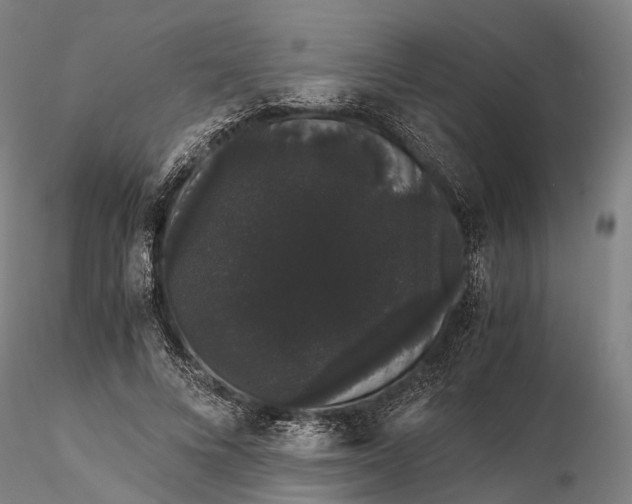 X0000116120688200912071346