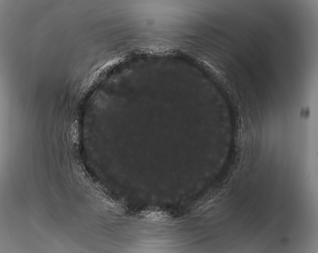 X0000116120689200912071346