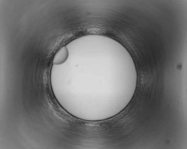 X0000116120690200912071346