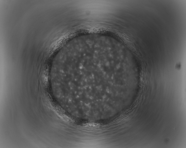 X0000116120691200912071346