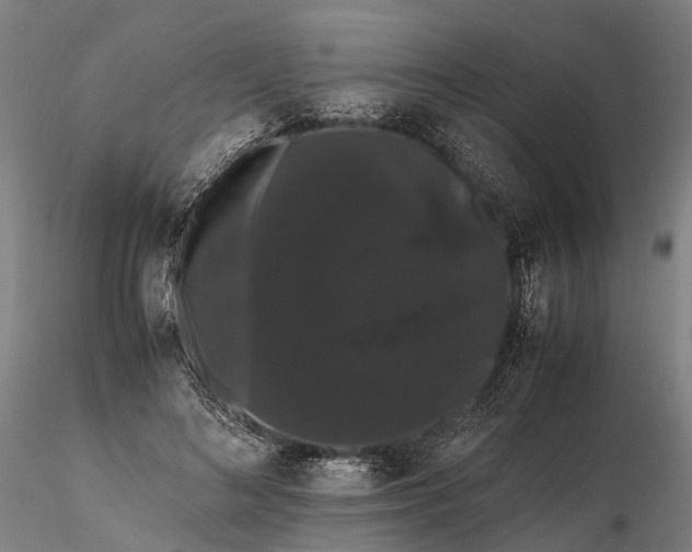 X0000116120692200912071346