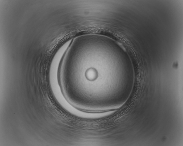 X0000116120693200912071346