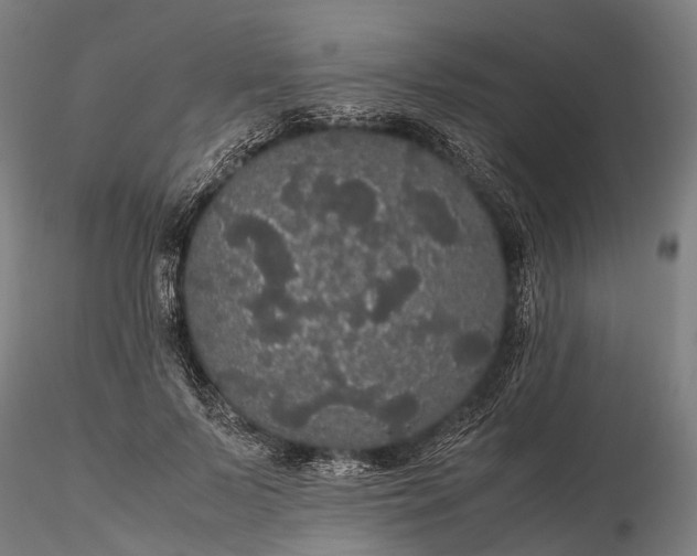 X0000116120695200912071346