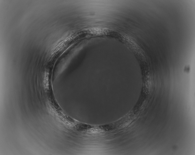 X0000116120696200912071346