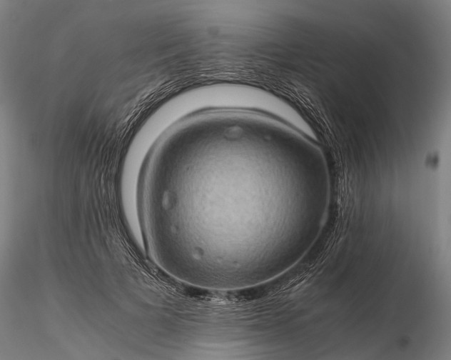 X0000116120697200912071346