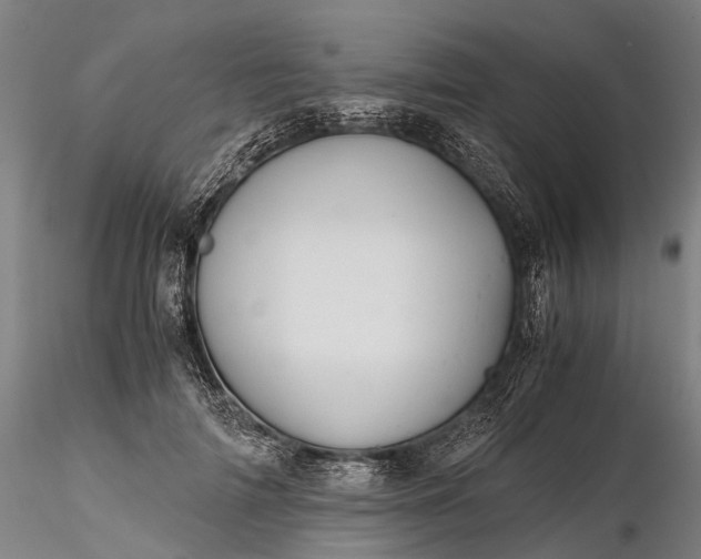 X0000116120698200912071346