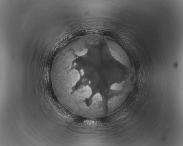 X0000116120699200912071346