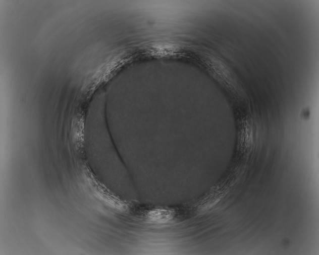 X0000116120700200912071346