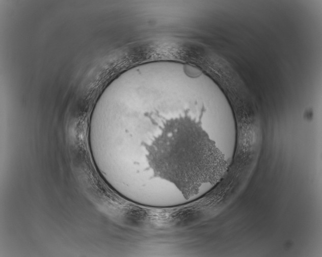 X0000116120701200912071346