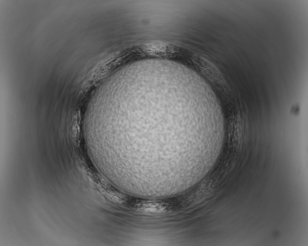 X0000116120702200912071346